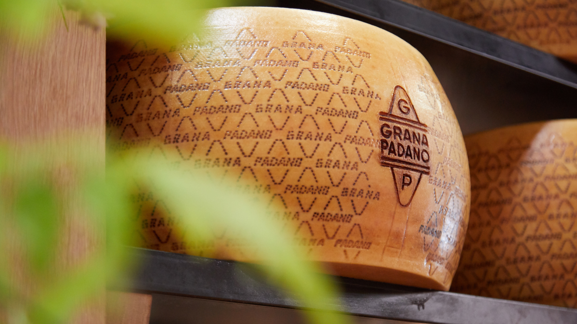 20181218_GRANA PADANO_CS_Accordo Commerciale UE-Messico