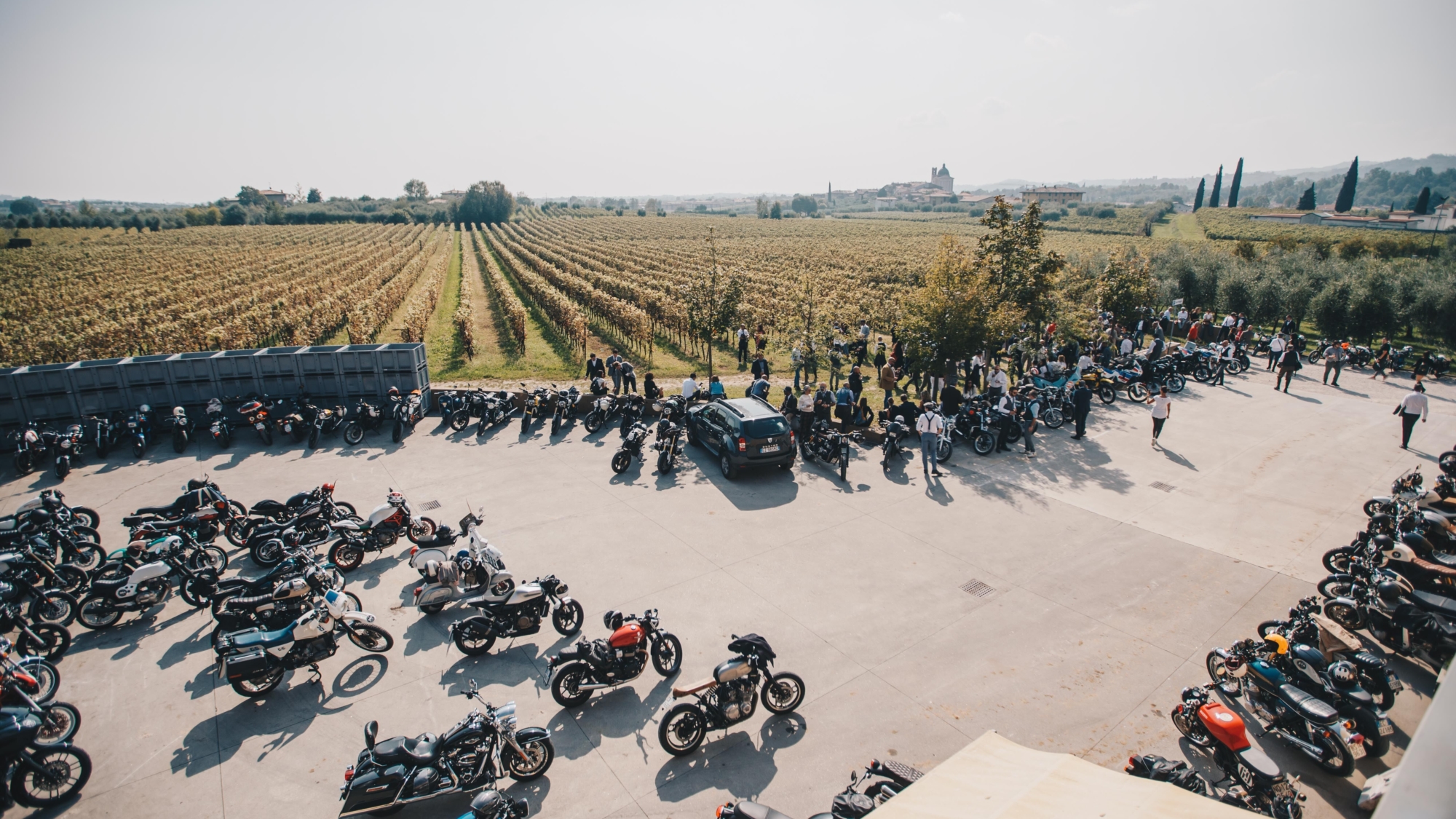 DGR 2019 VII edizione