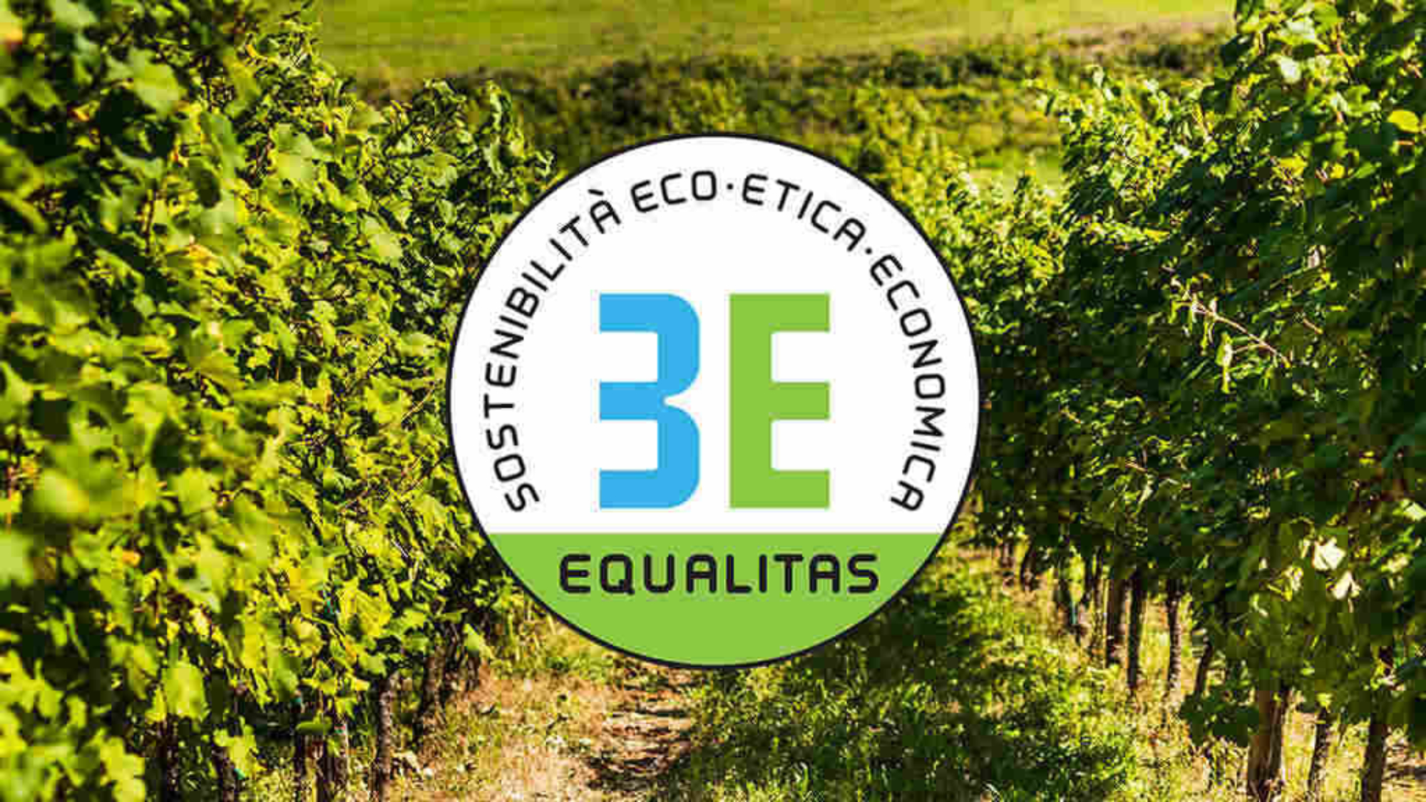 Schenk Italian Wineries certificata Equalitas