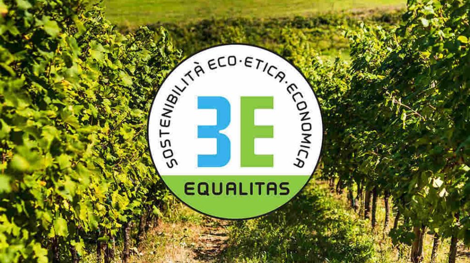 Schenk Italian Wineries certificata Equalitas