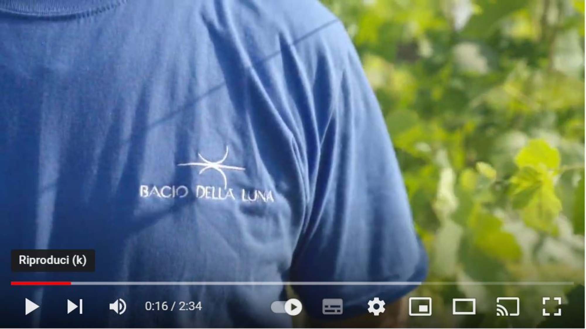 realizzazione video aziendale cantina Bacio della Luna