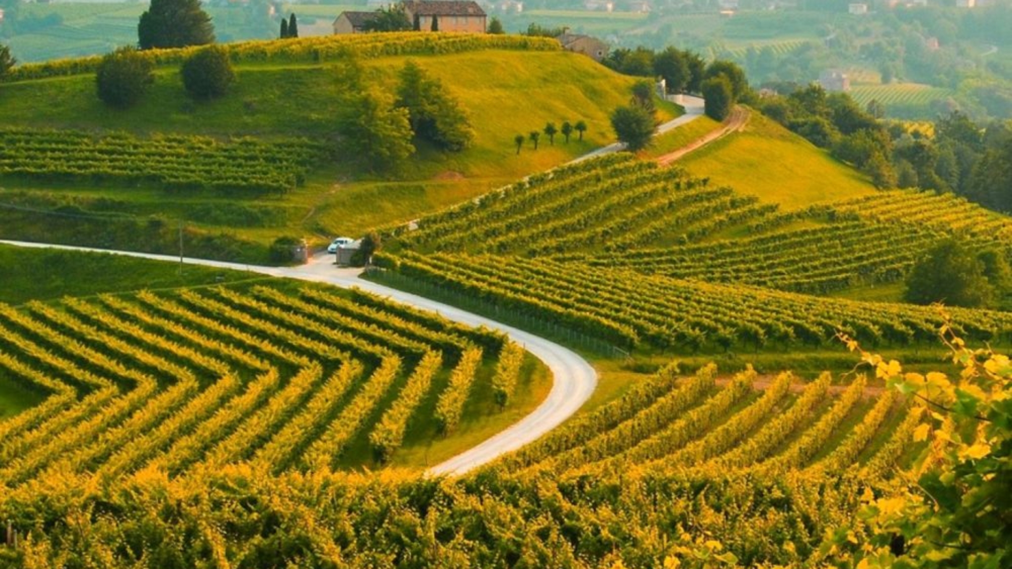 Rete delle Scuole per valorizzazione sito unesco delle Colline del Prosecco