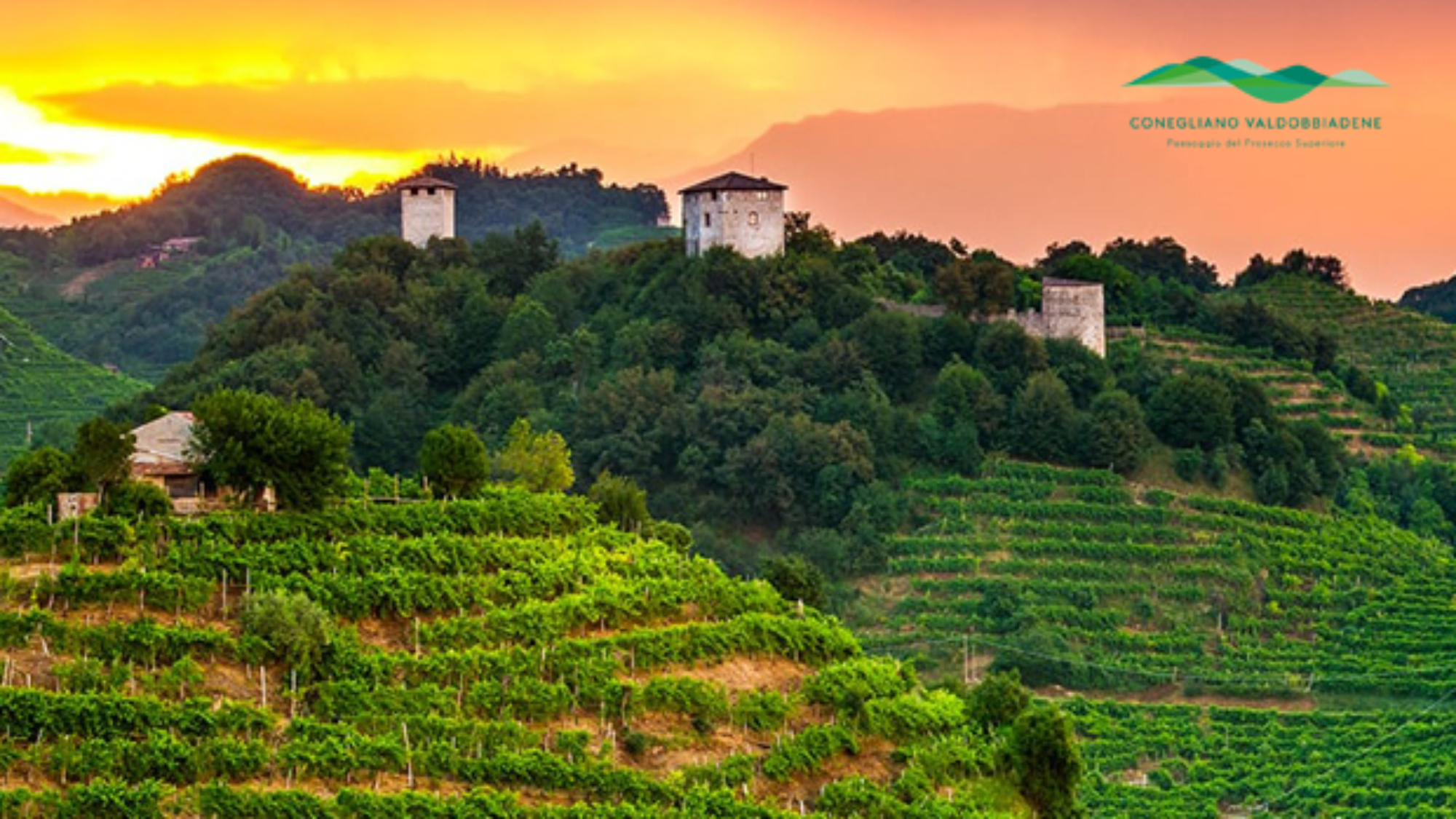 assemblea finale associazione per il patrimonio delle Colline del Prosecco di Conegliano e valdobbiadene