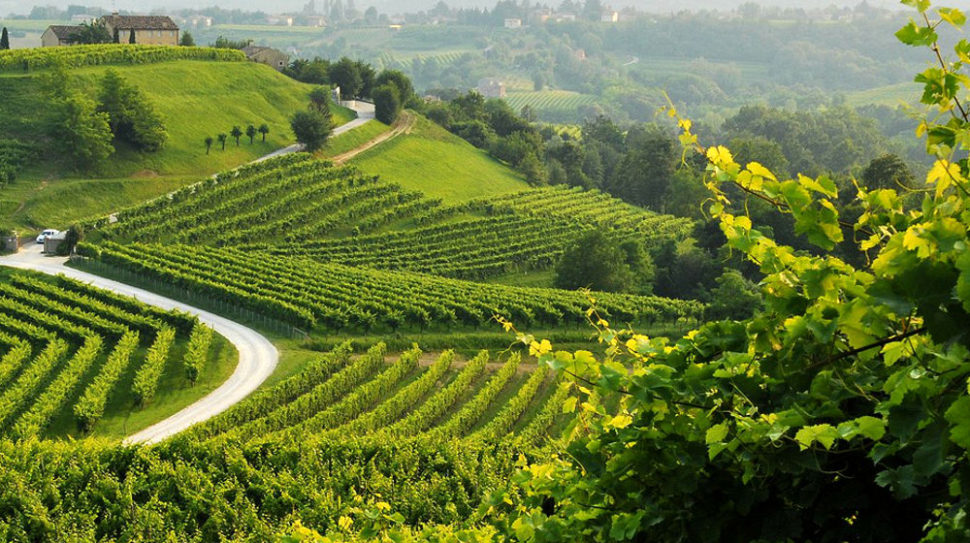 INTERNAZIONALIZZAZIONE AZIENDE. COLLINE DEL PROSECCO. VINO E TURISMO BINOMIO VINCENTE